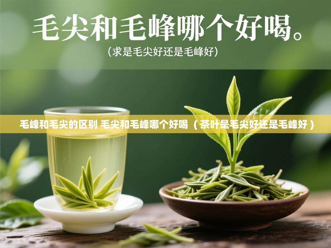 毛峰和毛尖的区别 毛尖和毛峰哪个好喝  ( 茶叶是毛尖好还是毛峰好 )