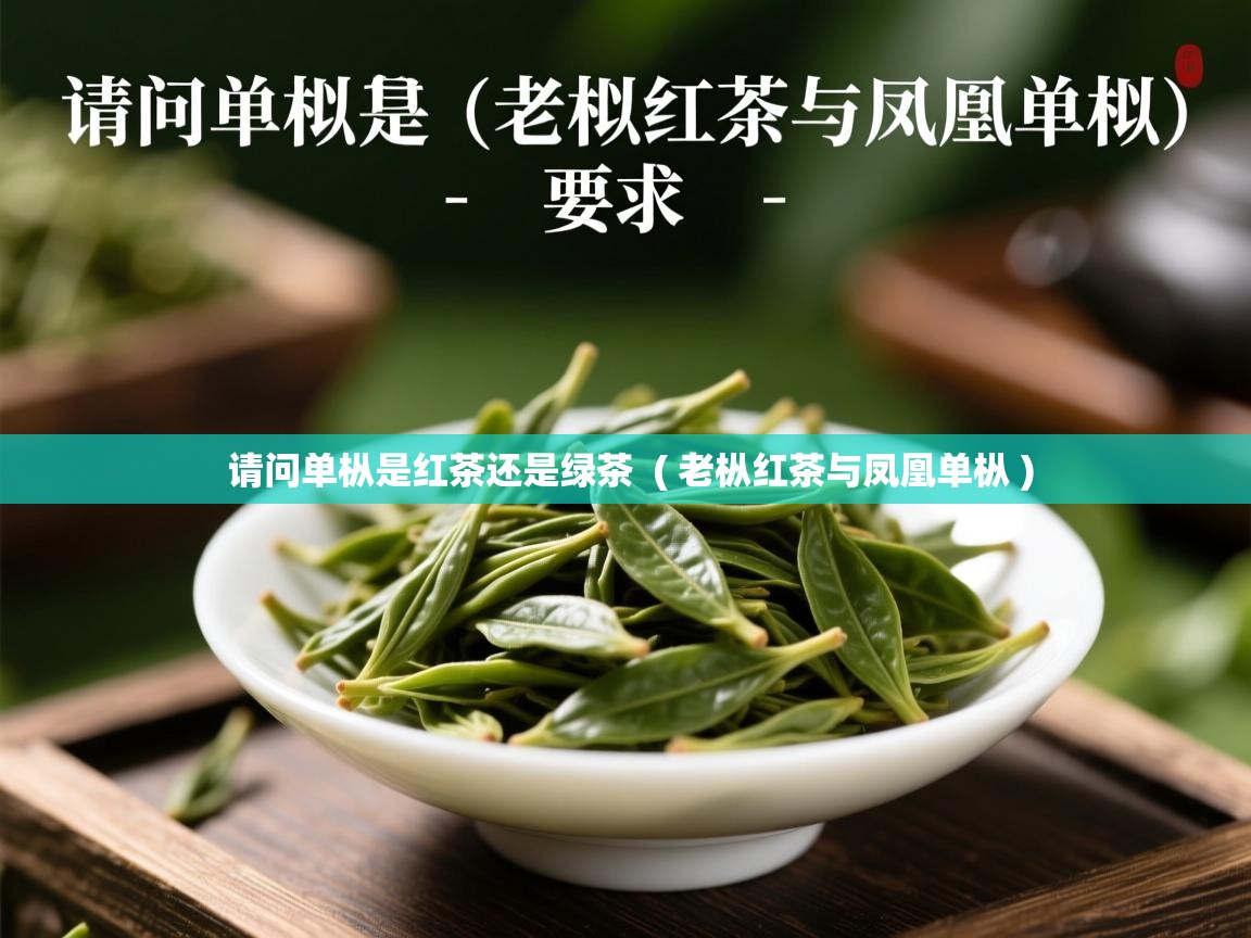 请问单枞是红茶还是绿茶 ( 老枞红茶与凤凰单枞 ) 请问单枞是红茶还是绿茶 ( 老枞红茶与凤凰单枞 )