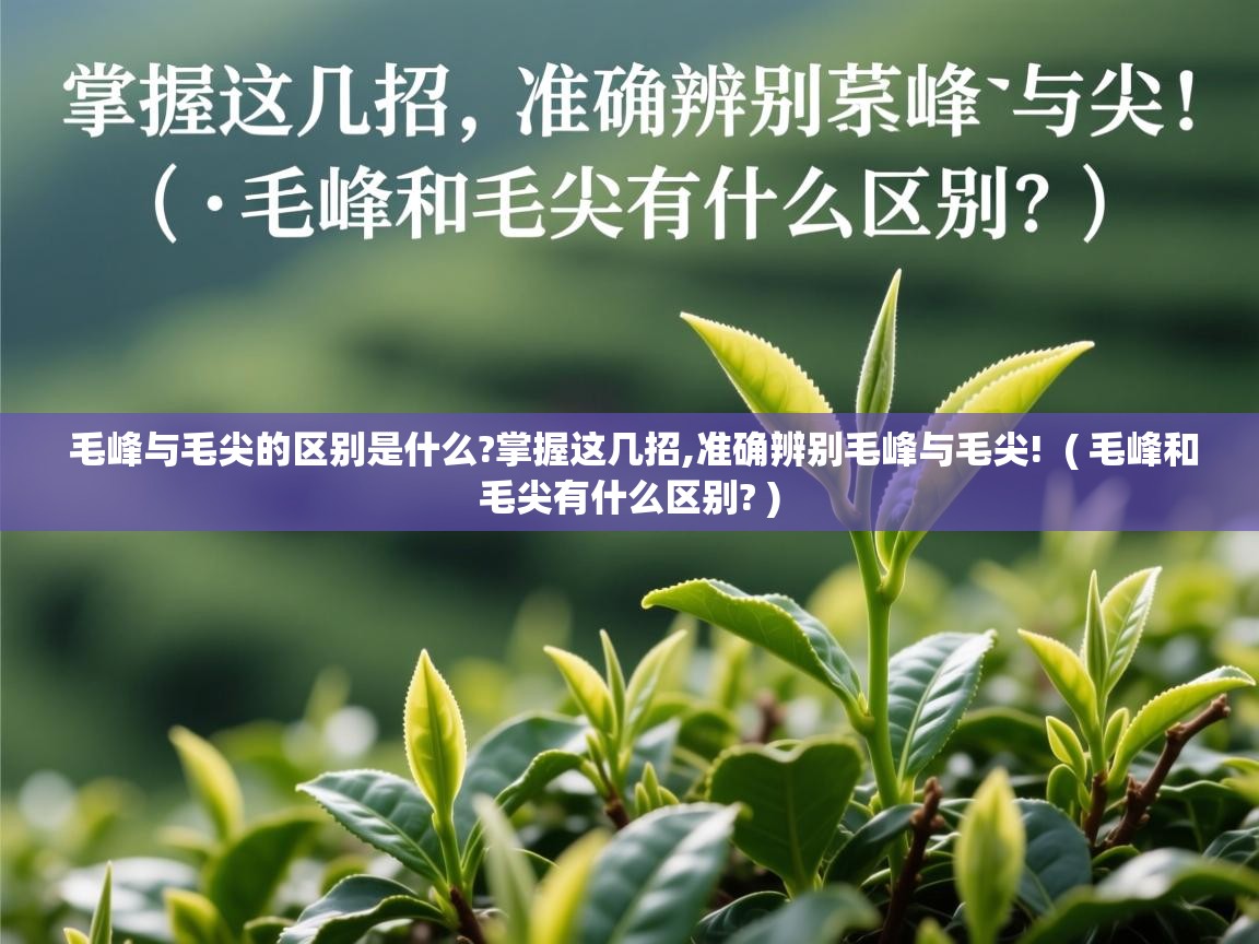  毛峰与毛尖的区别是什么?掌握这几招,准确辨别毛峰与毛尖!  ( 毛峰和毛尖有什么区别? )