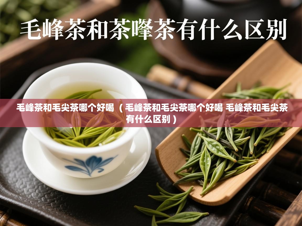 毛峰茶和毛尖茶哪个好喝  ( 毛峰茶和毛尖茶哪个好喝 毛峰茶和毛尖茶有什么区别 )