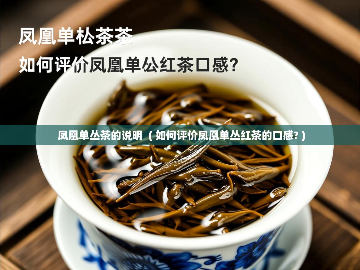  凤凰单丛茶的说明  ( 如何评价凤凰单丛红茶的口感? )
