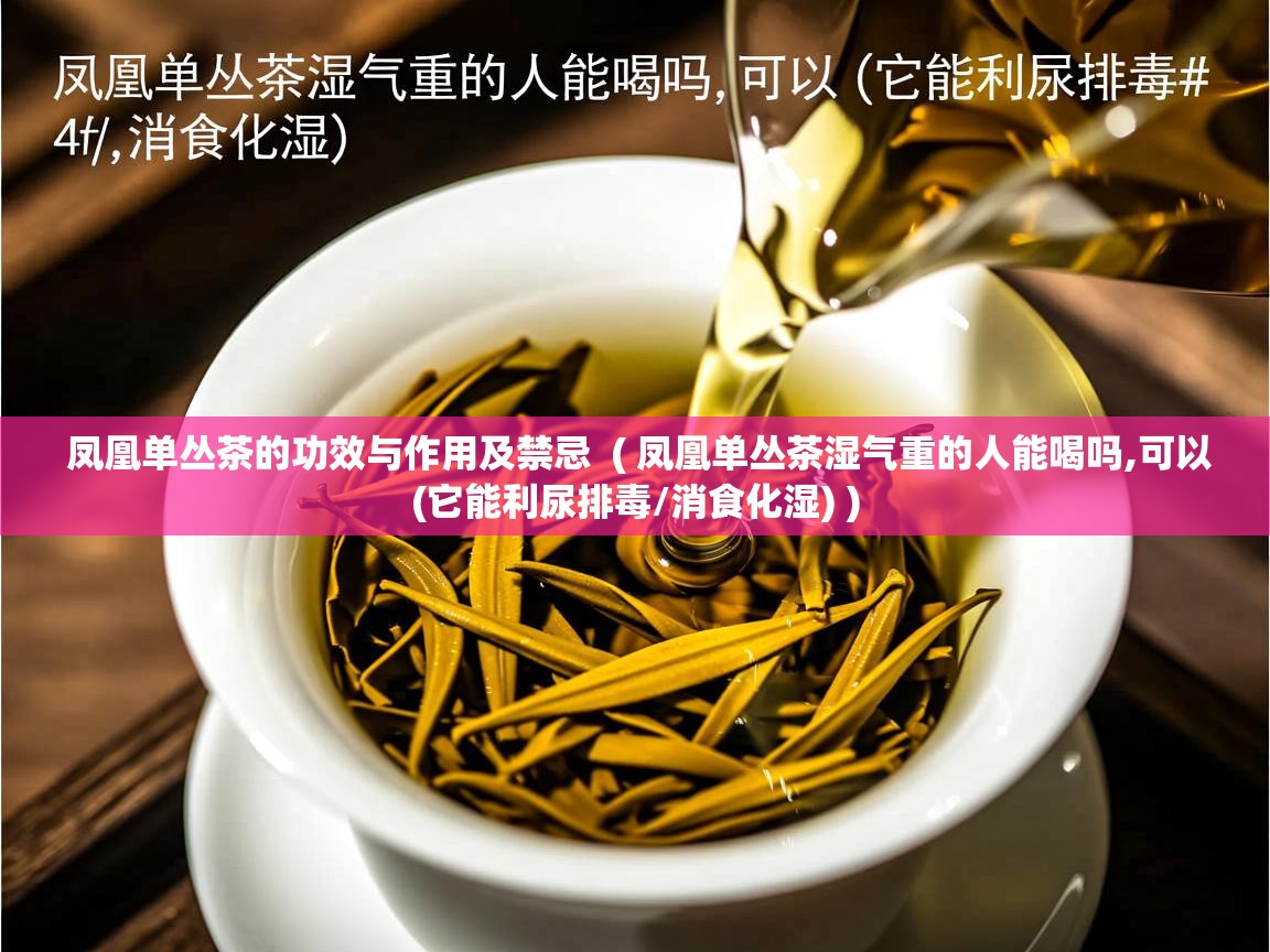  凤凰单丛茶的功效与作用及禁忌  ( 凤凰单丛茶湿气重的人能喝吗,可以(它能利尿排毒/消食化湿) )