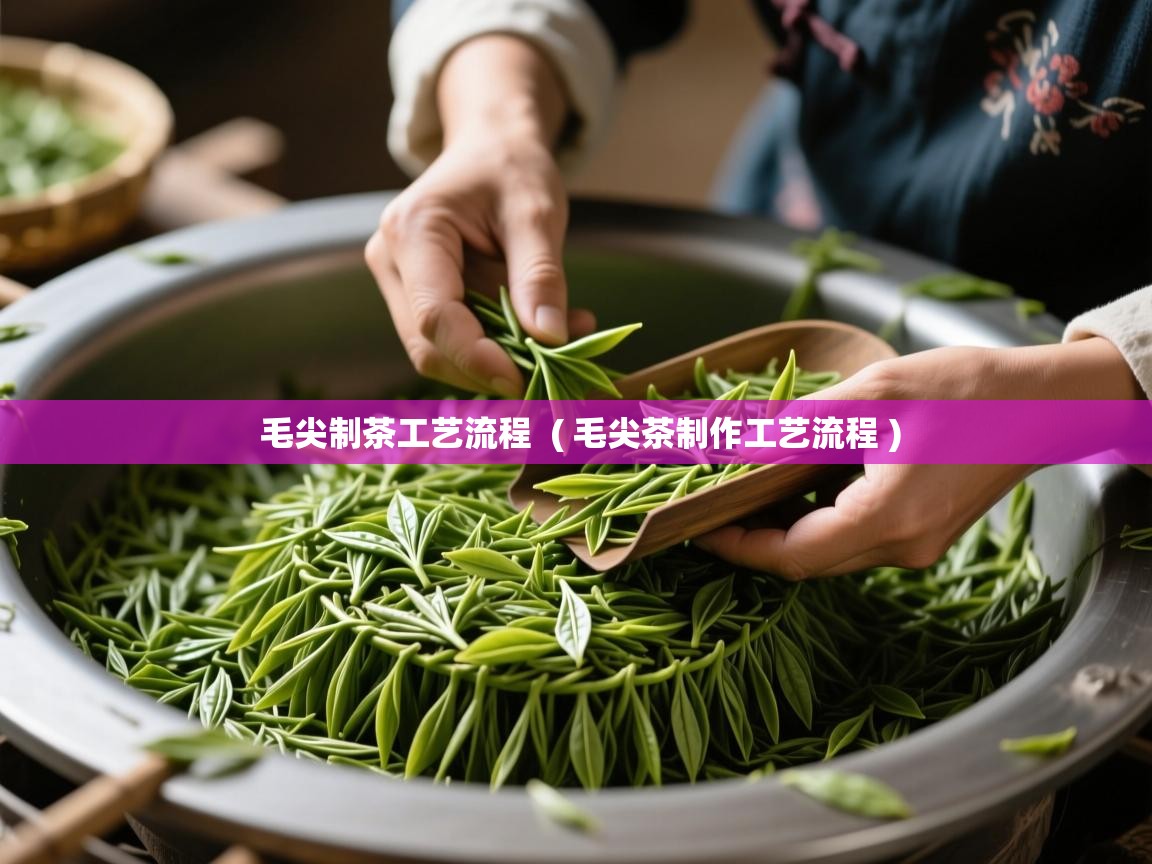  毛尖制茶工艺流程  ( 毛尖茶制作工艺流程 )