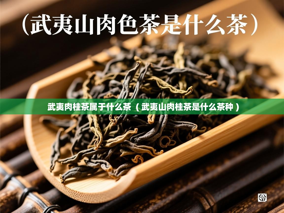  武夷肉桂茶属于什么茶  ( 武夷山肉桂茶是什么茶种 )