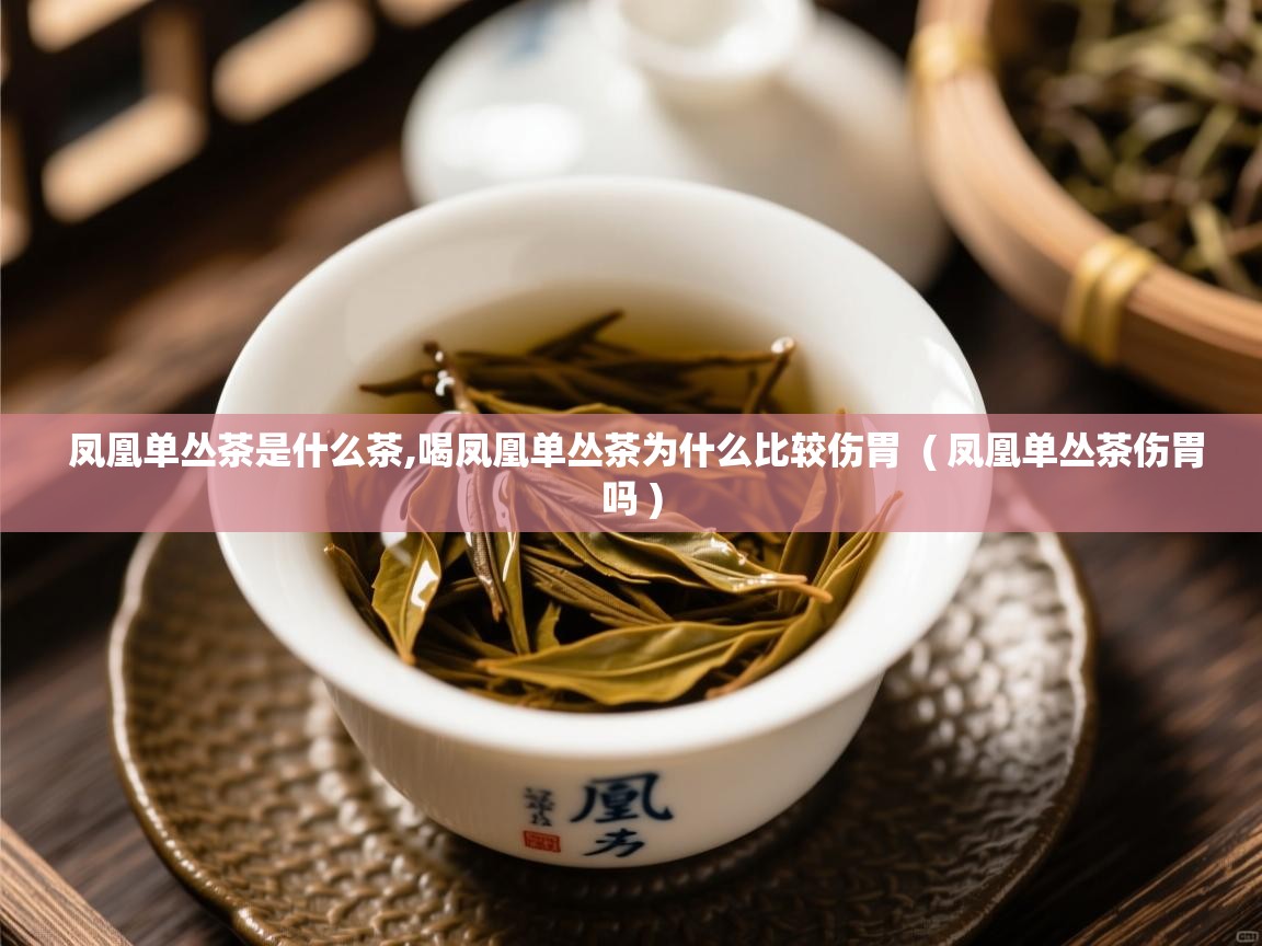  凤凰单丛茶是什么茶,喝凤凰单丛茶为什么比较伤胃  ( 凤凰单丛茶伤胃吗 )