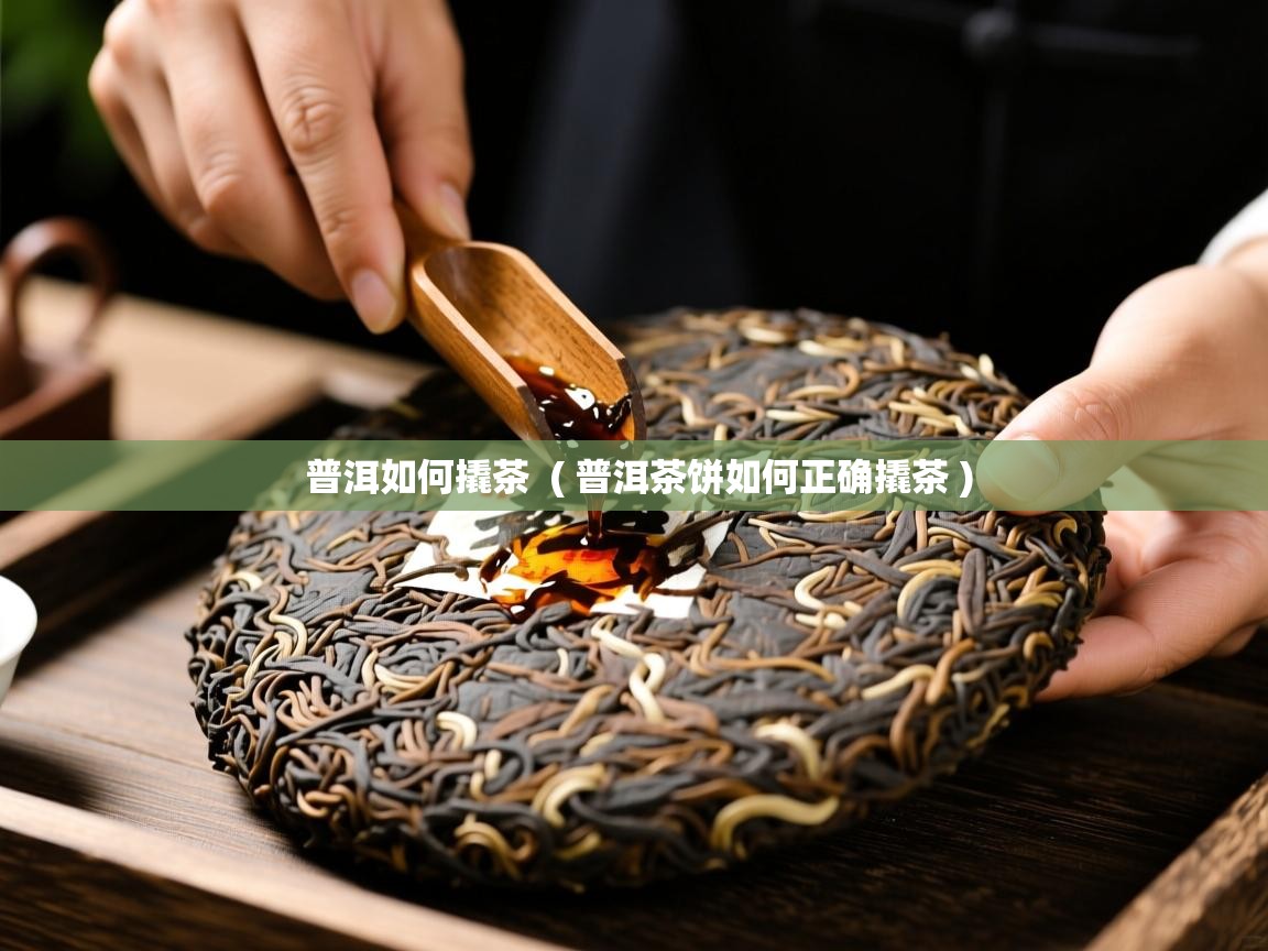  普洱如何撬茶  ( 普洱茶饼如何正确撬茶 )