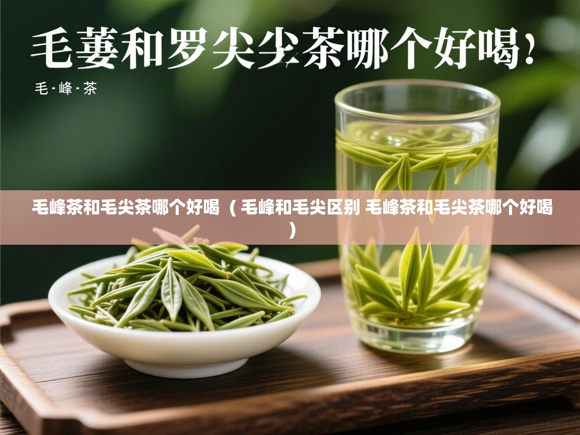  毛峰茶和毛尖茶哪个好喝  ( 毛峰和毛尖区别 毛峰茶和毛尖茶哪个好喝 )