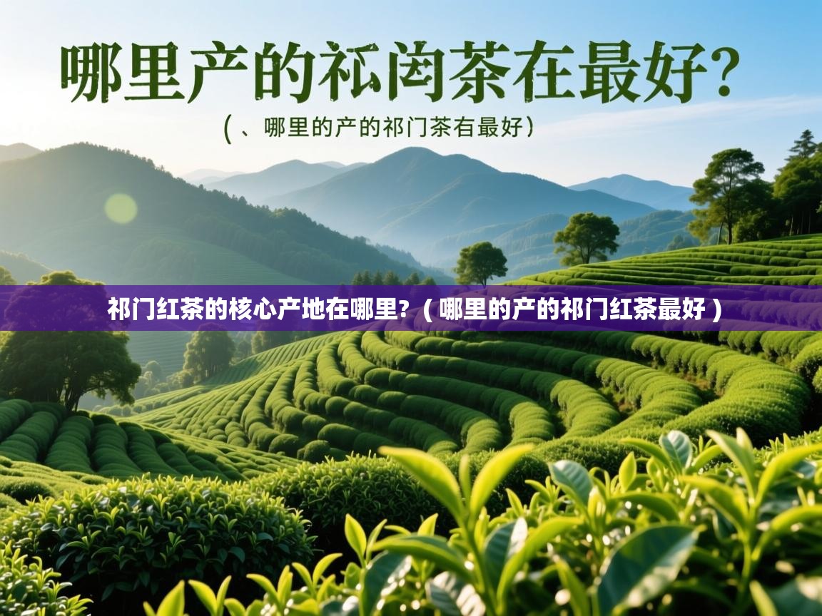  祁门红茶的核心产地在哪里?  ( 哪里的产的祁门红茶最好 )