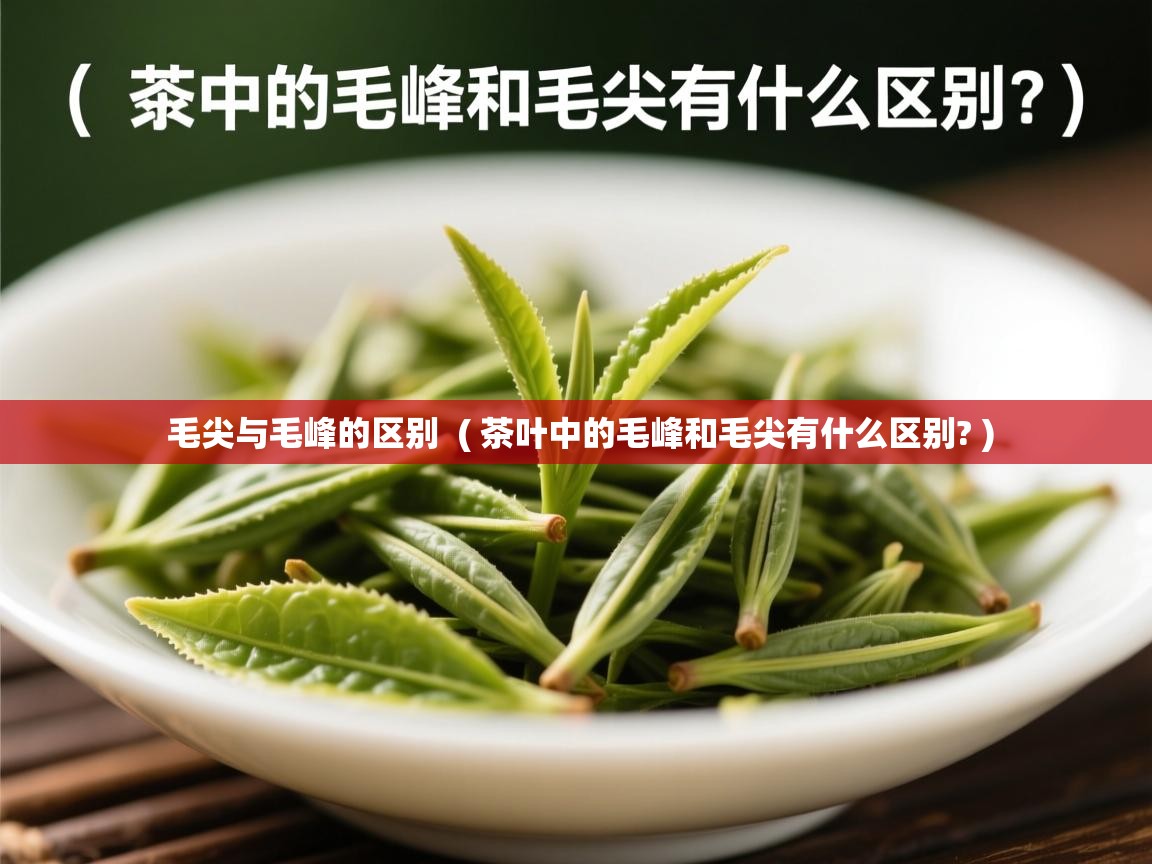  毛尖与毛峰的区别  ( 茶叶中的毛峰和毛尖有什么区别? )