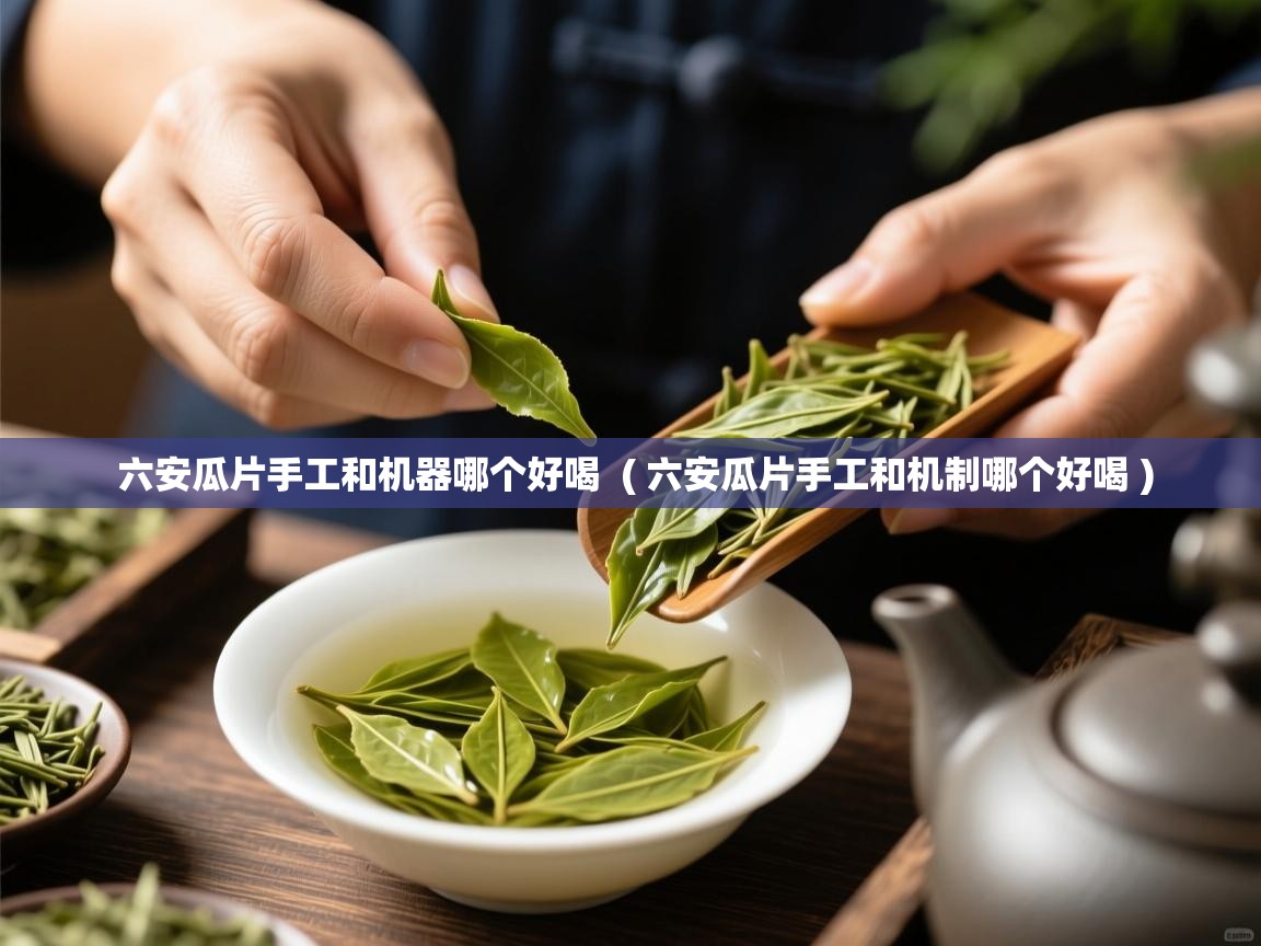  六安瓜片手工和机器哪个好喝  ( 六安瓜片手工和机制哪个好喝 )