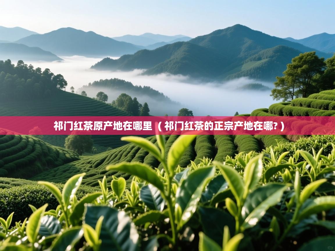  祁门红茶原产地在哪里  ( 祁门红茶的正宗产地在哪? )