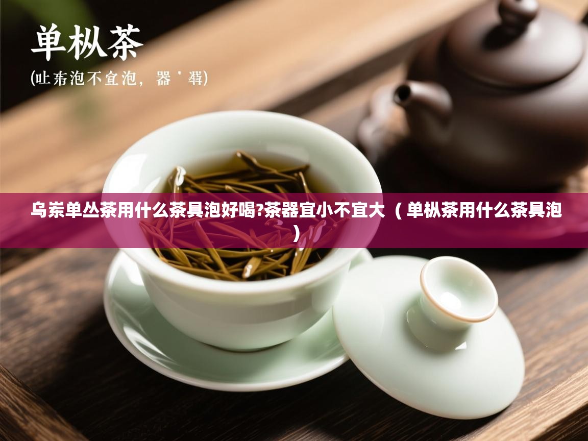  乌岽单丛茶用什么茶具泡好喝?茶器宜小不宜大  ( 单枞茶用什么茶具泡 )