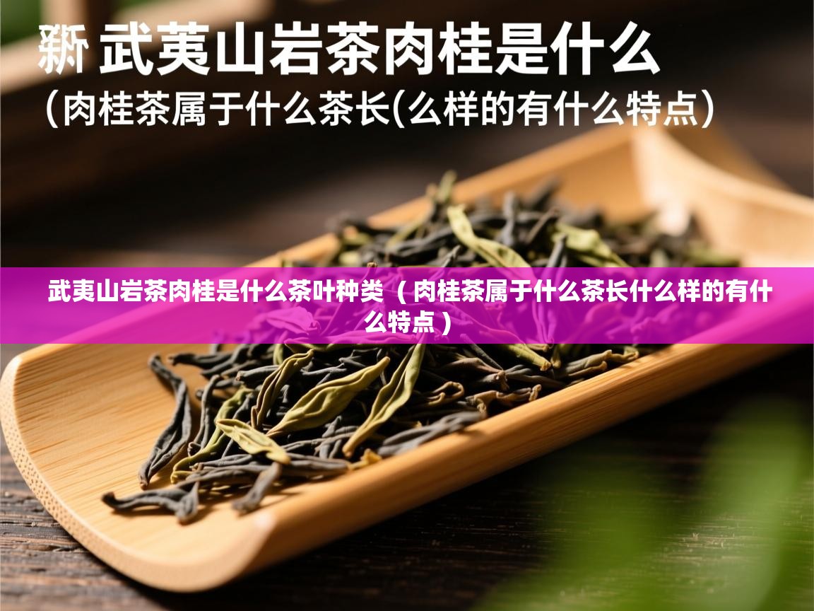  武夷山岩茶肉桂是什么茶叶种类  ( 肉桂茶属于什么茶长什么样的有什么特点 )