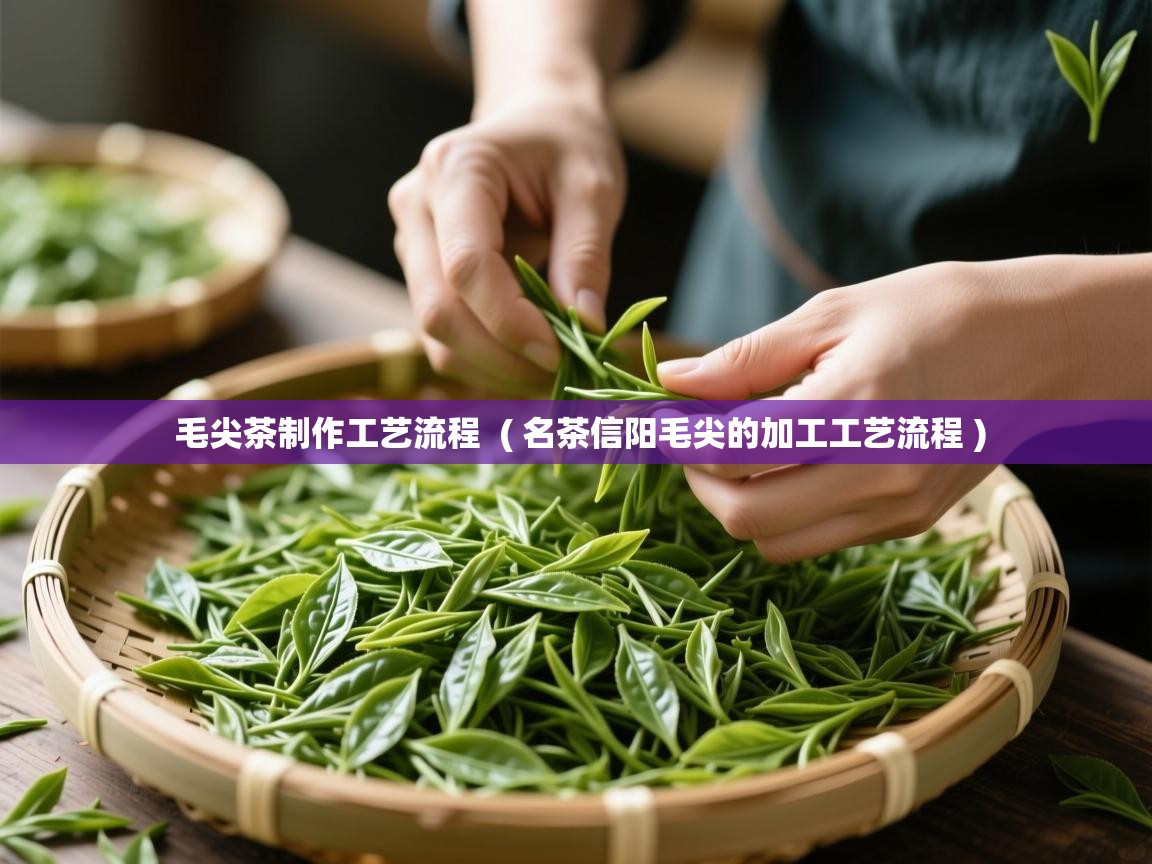 毛尖茶制作工艺流程  ( 名茶信阳毛尖的加工工艺流程 )