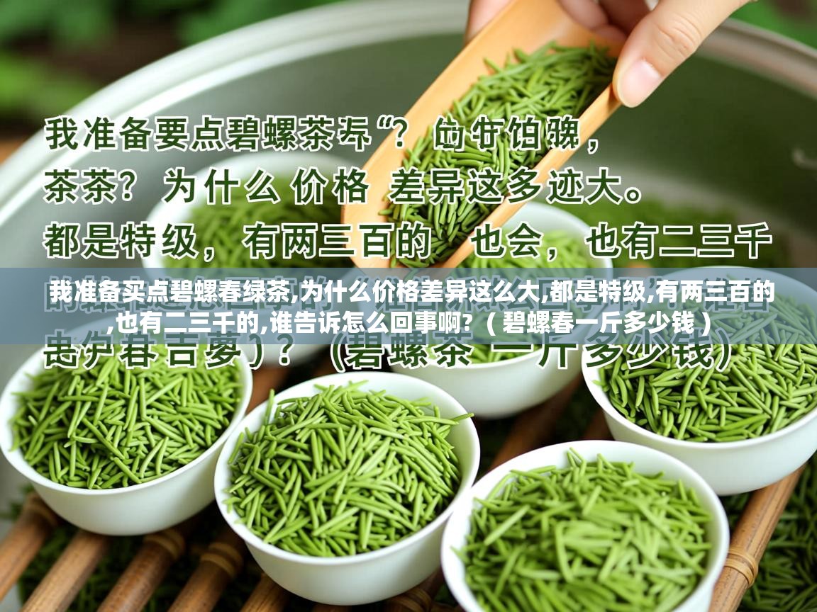  我准备买点碧螺春绿茶,为什么价格差异这么大,都是特级,有两三百的,也有二三千的,谁告诉怎么回事啊?  ( 碧螺春一斤多少钱 )