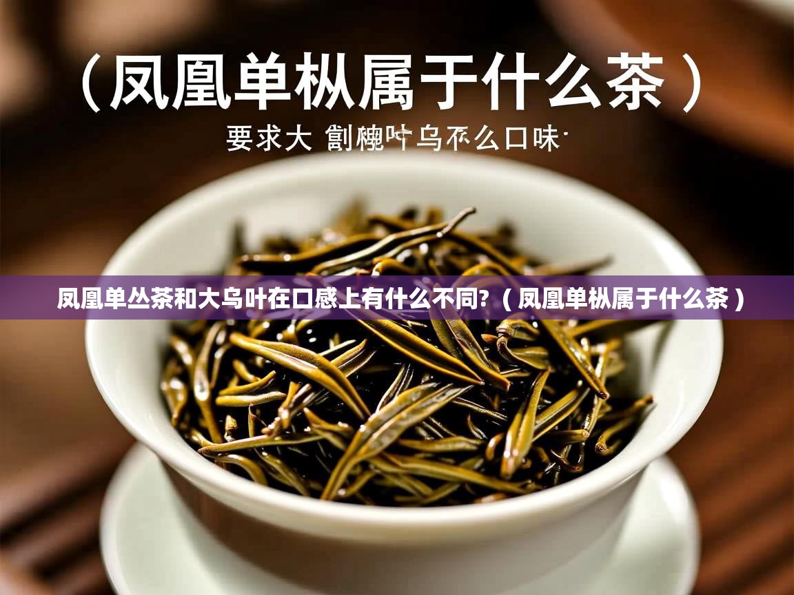 凤凰单丛茶和大乌叶在口感上有什么不同? ( 凤凰单枞属于什么茶 ) 凤凰单丛茶和大乌叶在口感上有什么不同? ( 凤凰单枞属于什么茶 )