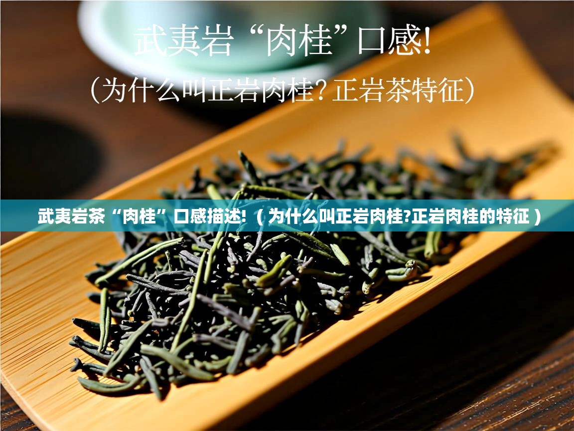  武夷岩茶“肉桂”口感描述!  ( 为什么叫正岩肉桂?正岩肉桂的特征 )