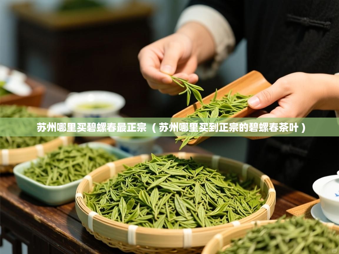  苏州哪里买碧螺春最正宗  ( 苏州哪里买到正宗的碧螺春茶叶 )