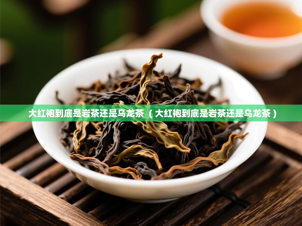  大红袍到底是岩茶还是乌龙茶  ( 大红袍到底是岩茶还是乌龙茶 )