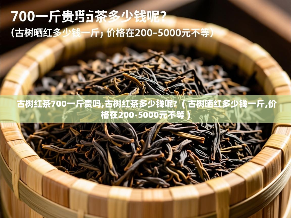  古树红茶700一斤贵吗,古树红茶多少钱呢?  ( 古树晒红多少钱一斤,价格在200-5000元不等 )