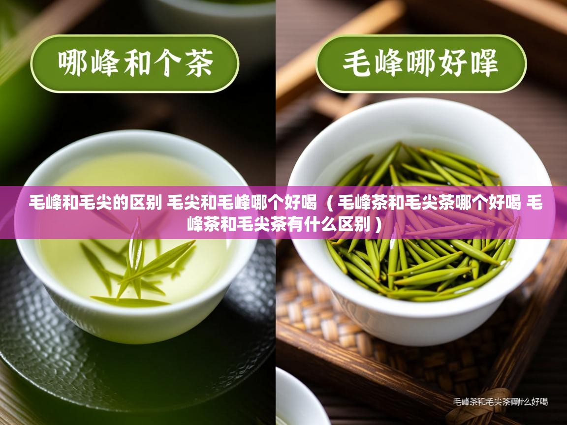  毛峰和毛尖的区别 毛尖和毛峰哪个好喝  ( 毛峰茶和毛尖茶哪个好喝 毛峰茶和毛尖茶有什么区别 )