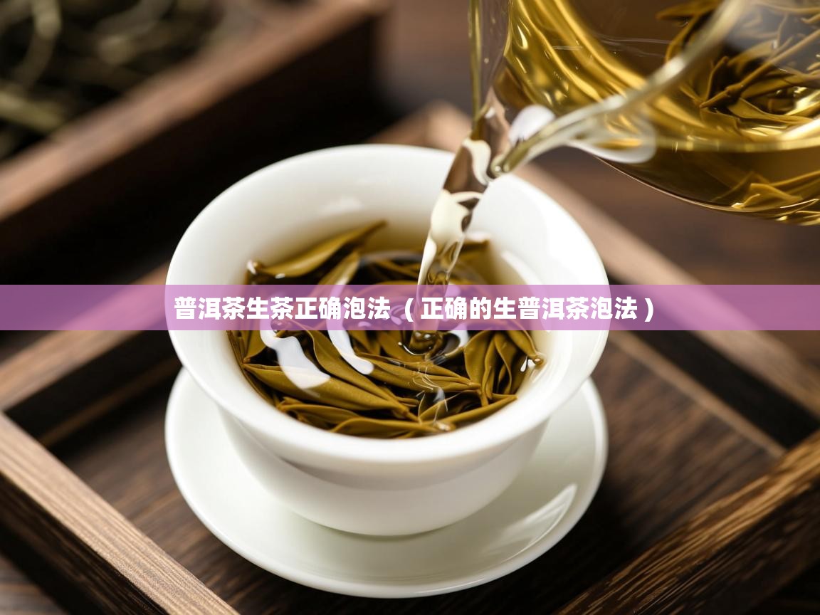  普洱茶生茶正确泡法  ( 正确的生普洱茶泡法 )