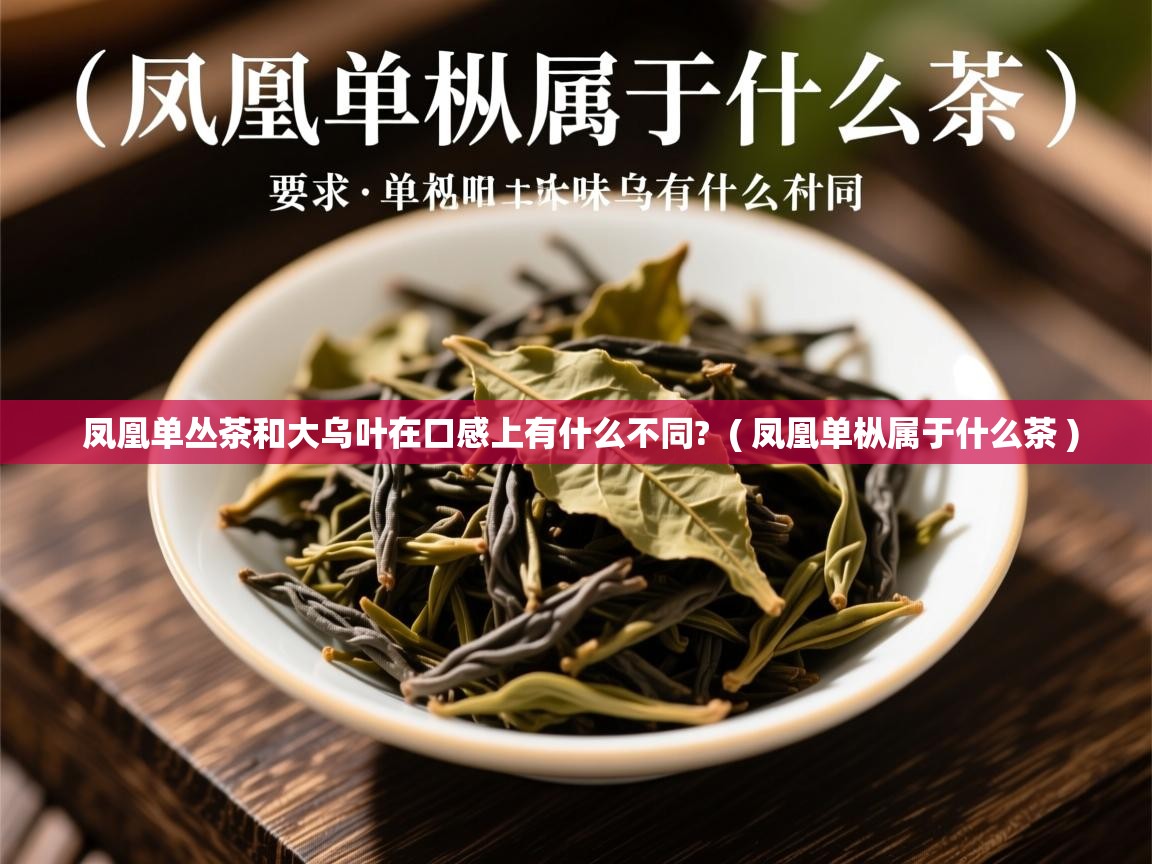 凤凰单丛茶和大乌叶在口感上有什么不同? ( 凤凰单枞属于什么茶 ) 凤凰单丛茶和大乌叶在口感上有什么不同? ( 凤凰单枞属于什么茶 )