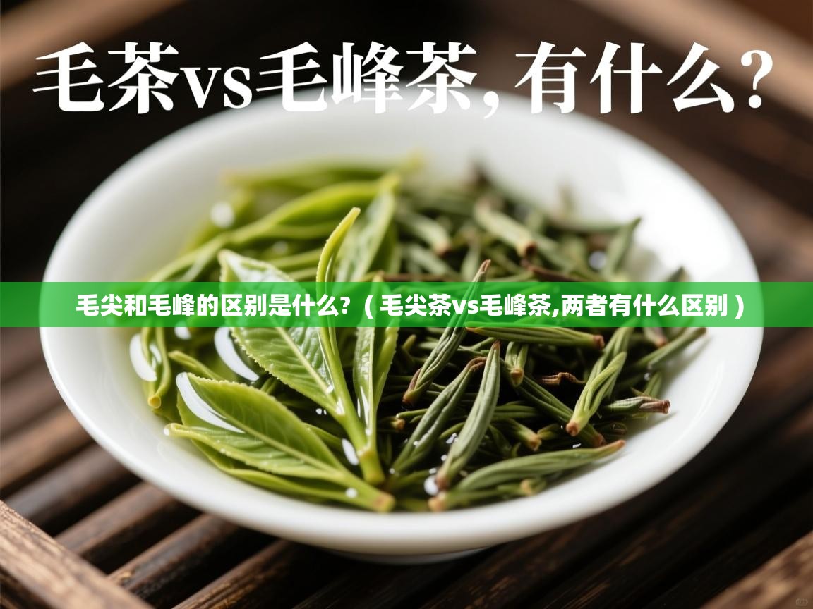  毛尖和毛峰的区别是什么?  ( 毛尖茶vs毛峰茶,两者有什么区别 )