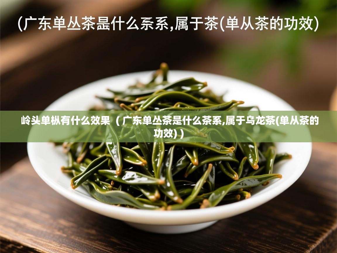 岭头单枞有什么效果 ( 广东单丛茶是什么茶系,属于乌龙茶(单从茶的功效) ) 岭头单枞有什么效果 ( 广东单丛茶是什么茶系,属于乌龙茶(单从茶的功效) )