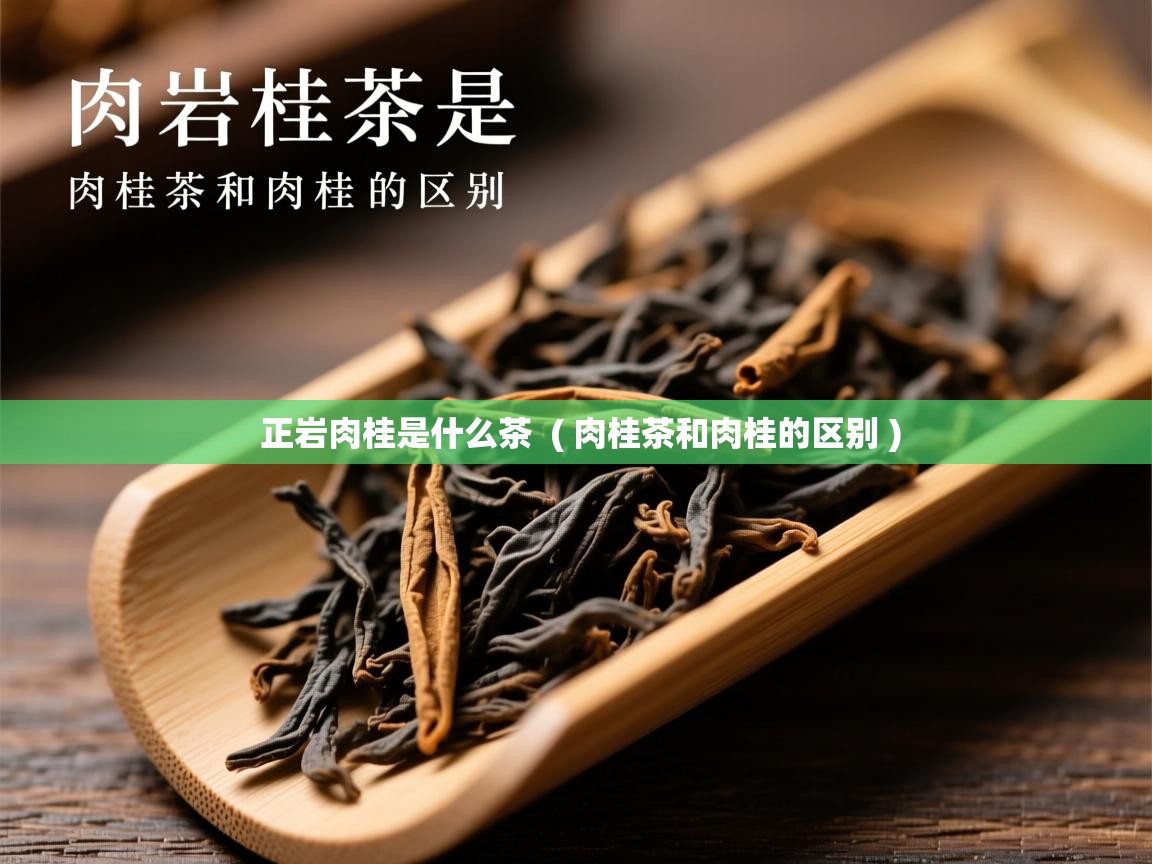  正岩肉桂是什么茶  ( 肉桂茶和肉桂的区别 )
