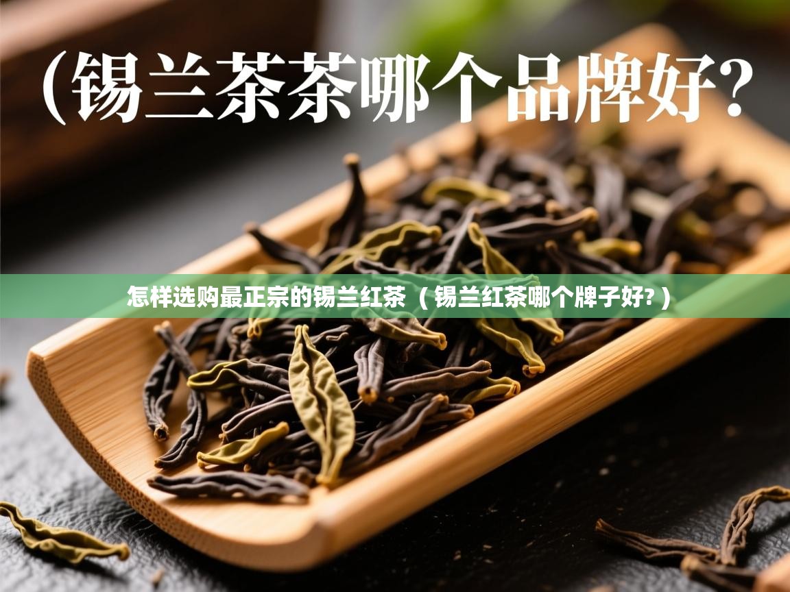  怎样选购最正宗的锡兰红茶  ( 锡兰红茶哪个牌子好? )