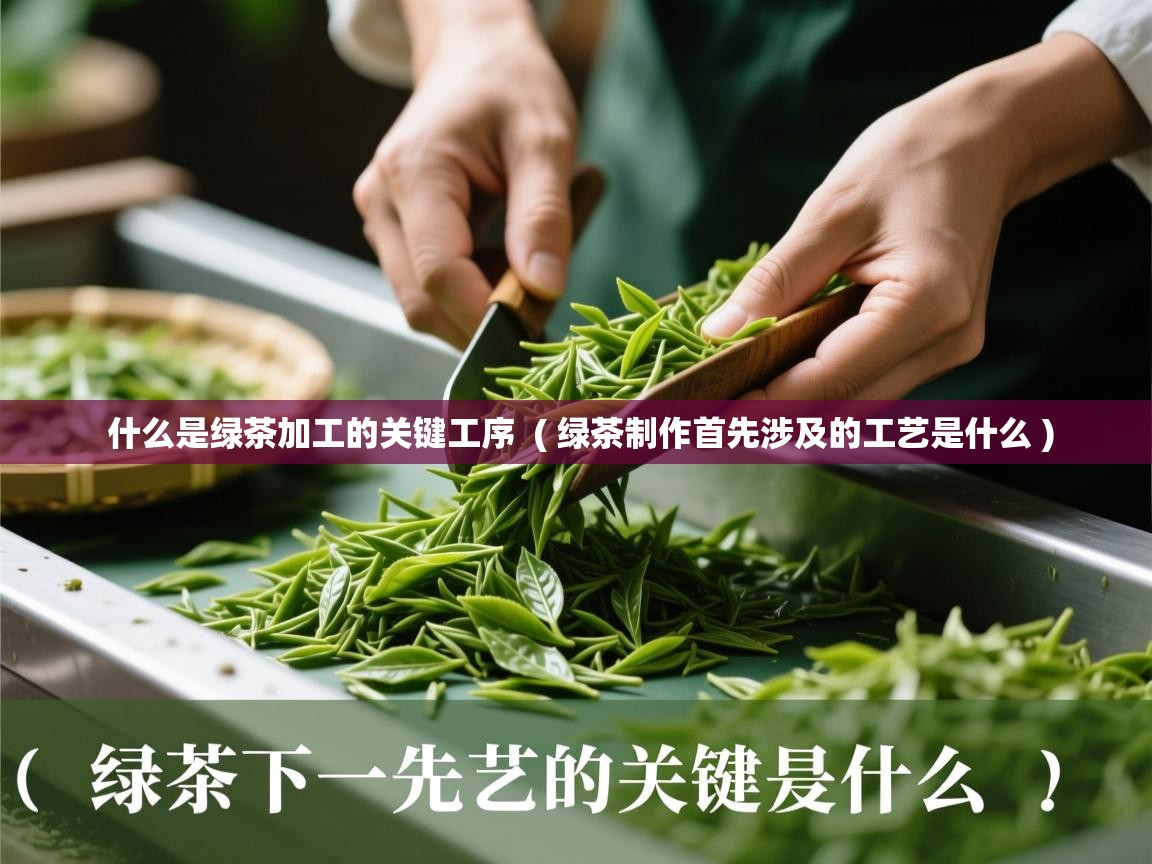  什么是绿茶加工的关键工序  ( 绿茶制作首先涉及的工艺是什么 )