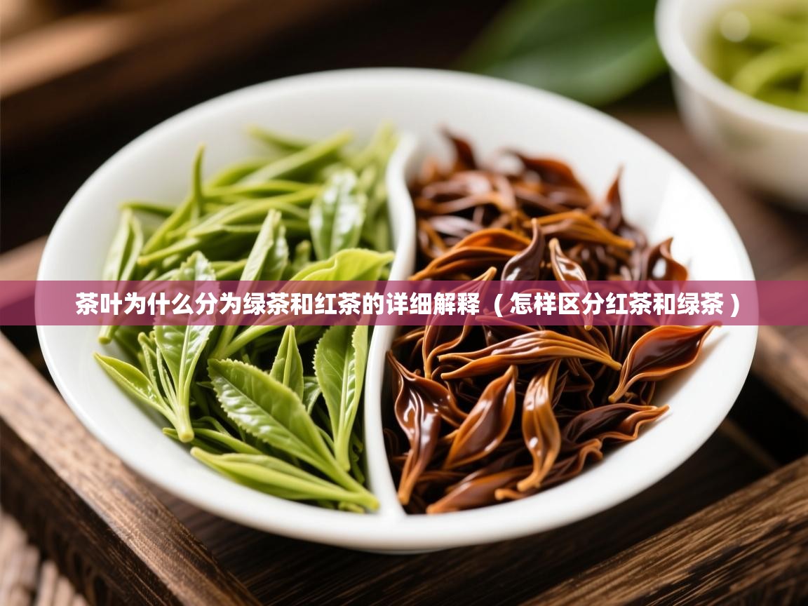  茶叶为什么分为绿茶和红茶的详细解释  ( 怎样区分红茶和绿茶 )