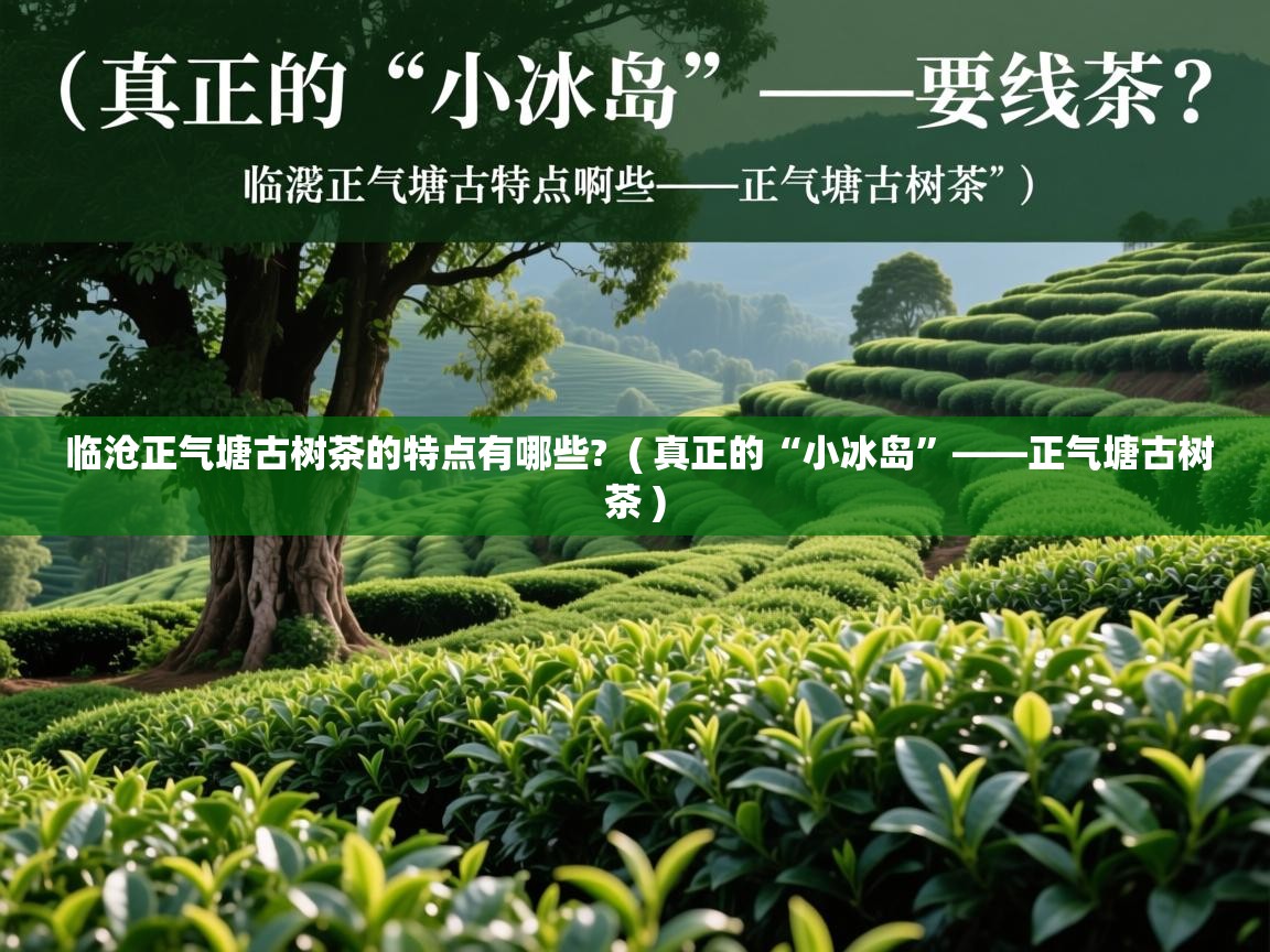 临沧正气塘古树茶的特点有哪些? ( 真正的“小冰岛”——正气塘古树茶 ) 临沧正气塘古树茶的特点有哪些? ( 真正的“小冰岛”——正气塘古树茶 )