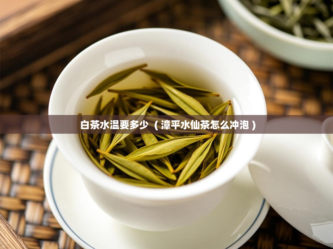 白茶水温要多少 ( 漳平水仙茶怎么冲泡 ) 白茶水温要多少 ( 漳平水仙茶怎么冲泡 )