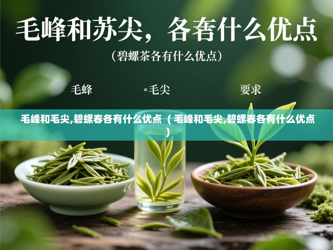 毛峰和毛尖,碧螺春各有什么优点 ( 毛峰和毛尖,碧螺春各有什么优点 ) 毛峰和毛尖,碧螺春各有什么优点 ( 毛峰和毛尖,碧螺春各有什么优点 )