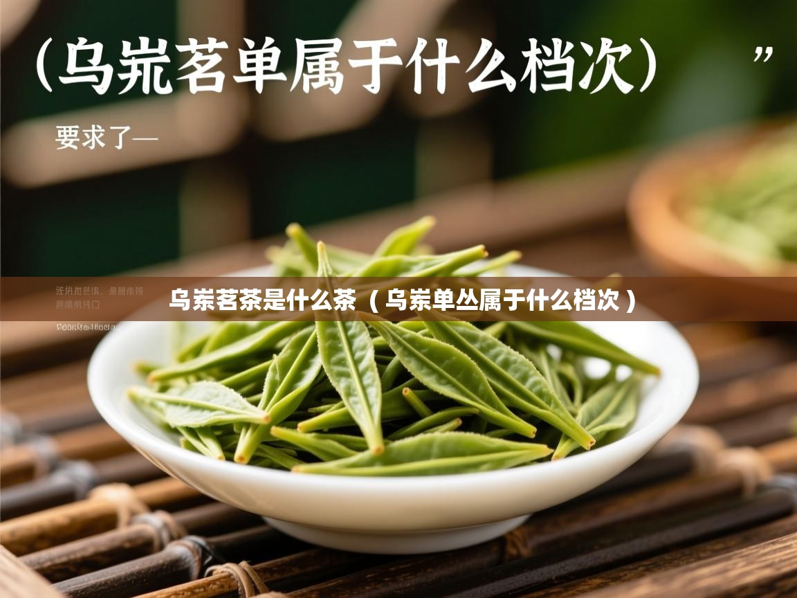 乌岽茗茶是什么茶 ( 乌岽单丛属于什么档次 ) 乌岽茗茶是什么茶 ( 乌岽单丛属于什么档次 )
