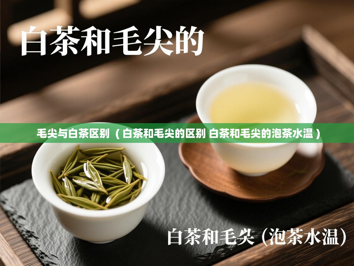  毛尖与白茶区别  ( 白茶和毛尖的区别 白茶和毛尖的泡茶水温 )