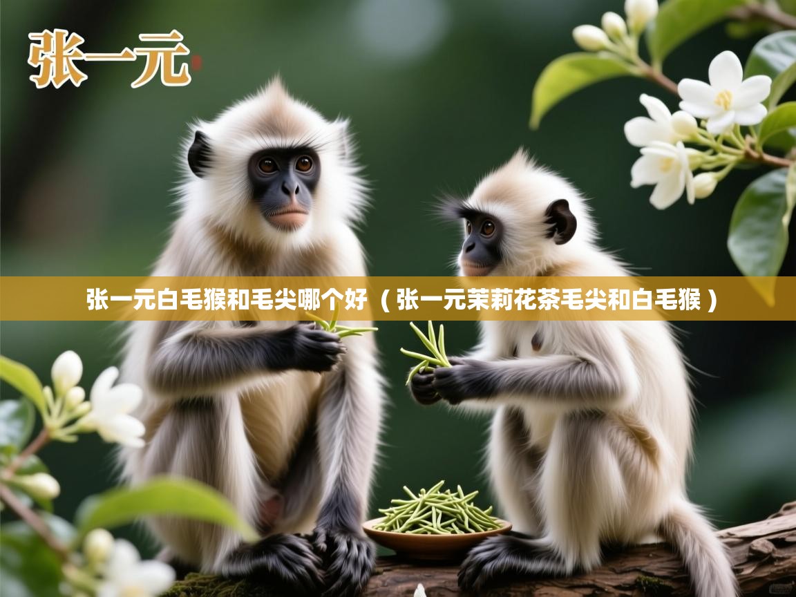  张一元白毛猴和毛尖哪个好  ( 张一元茉莉花茶毛尖和白毛猴 )
