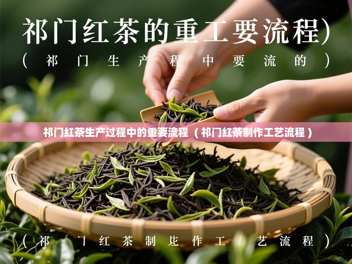  祁门红茶生产过程中的重要流程  ( 祁门红茶制作工艺流程 )