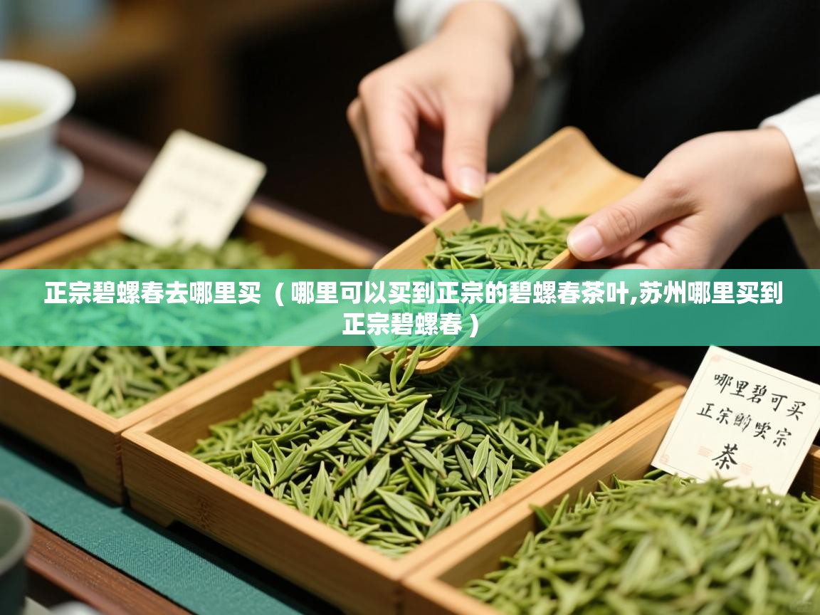  正宗碧螺春去哪里买  ( 哪里可以买到正宗的碧螺春茶叶,苏州哪里买到正宗碧螺春 )