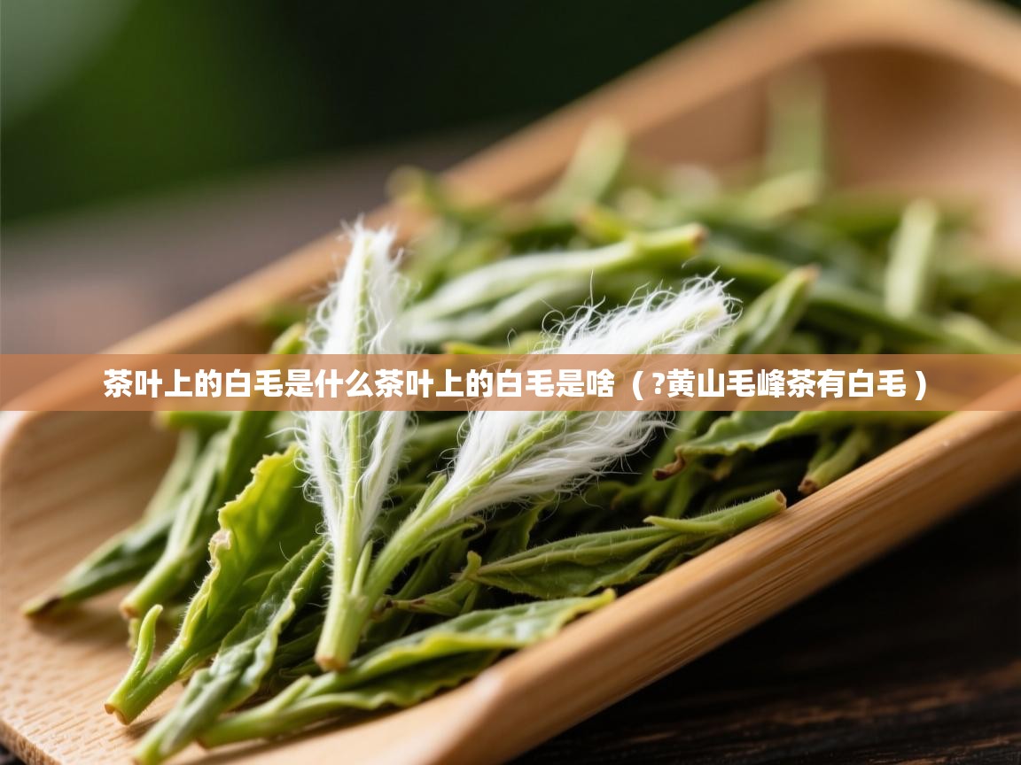  茶叶上的白毛是什么茶叶上的白毛是啥  ( ?黄山毛峰茶有白毛 )