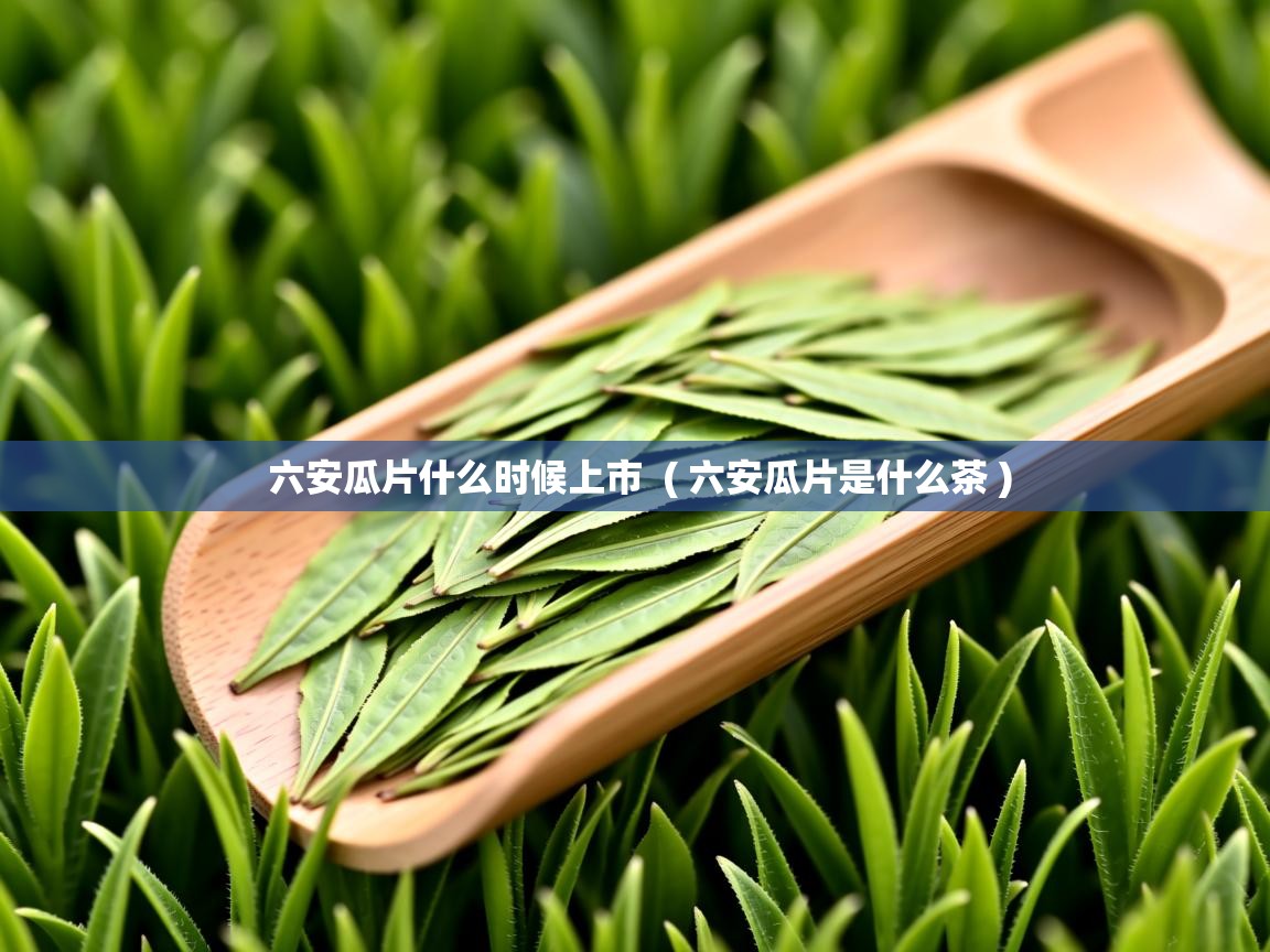  六安瓜片什么时候上市  ( 六安瓜片是什么茶 )