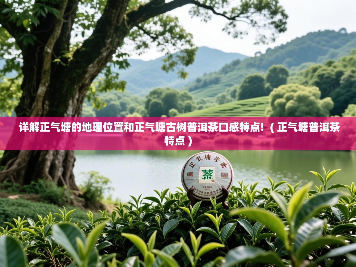  详解正气塘的地理位置和正气塘古树普洱茶口感特点!  ( 正气塘普洱茶特点 )