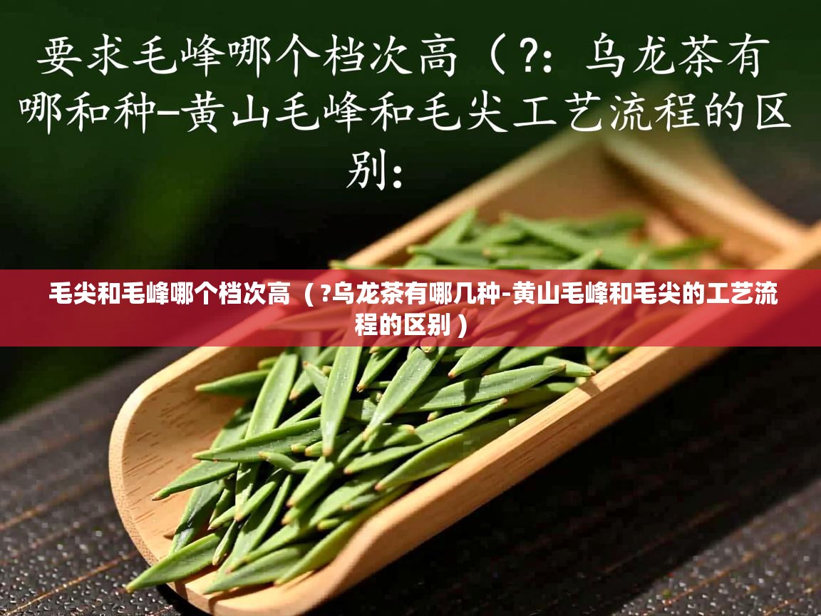  毛尖和毛峰哪个档次高  ( ?乌龙茶有哪几种-黄山毛峰和毛尖的工艺流程的区别 )