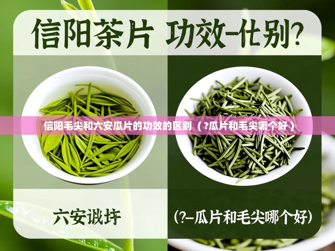  信阳毛尖和六安瓜片的功效的区别  ( ?瓜片和毛尖哪个好 )