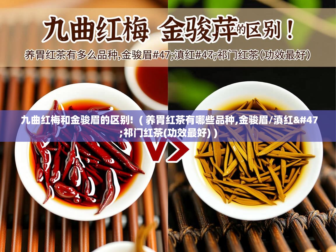  九曲红梅和金骏眉的区别!  ( 养胃红茶有哪些品种,金骏眉/滇红/祁门红茶(功效最好) )