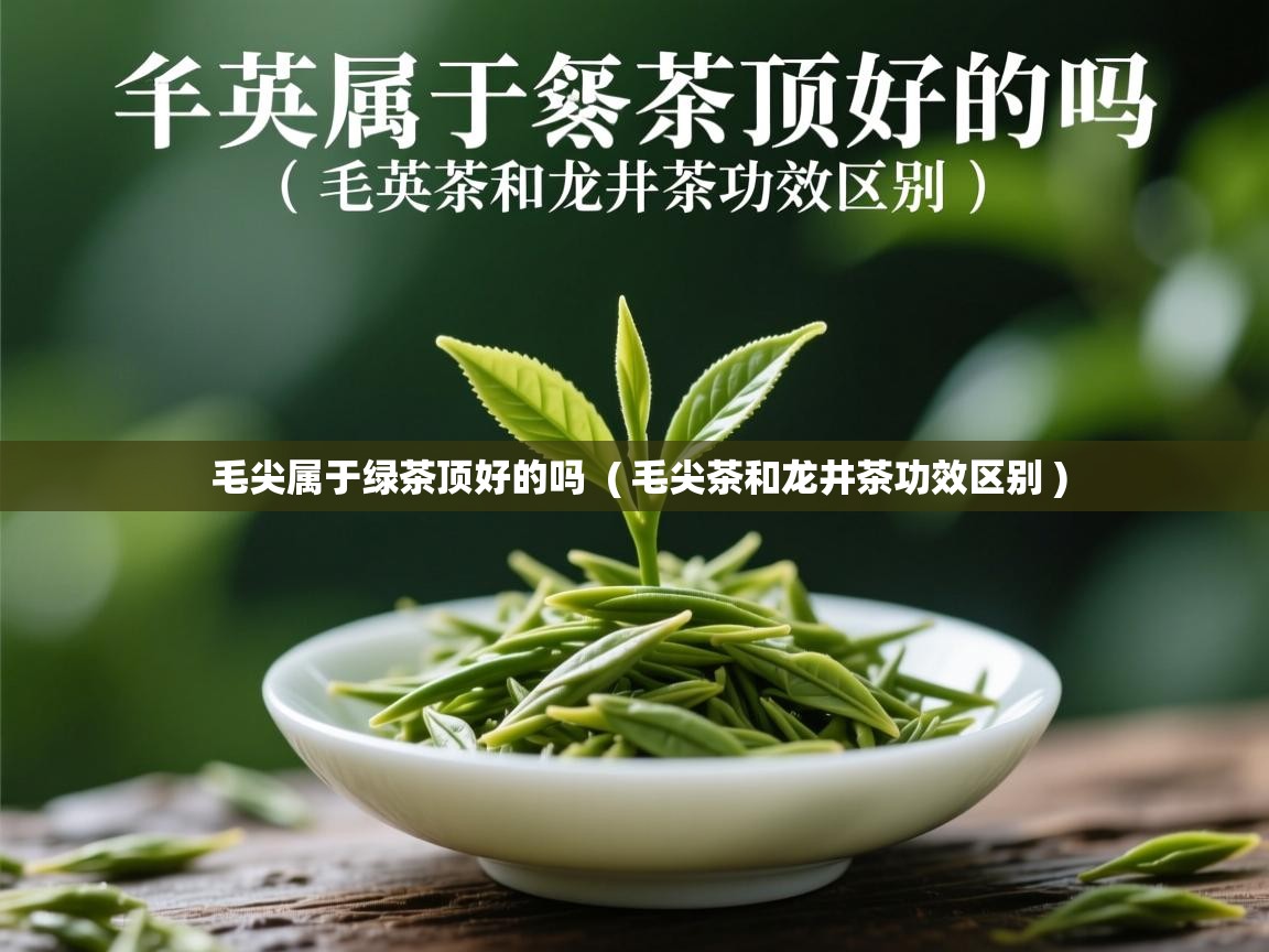  毛尖属于绿茶顶好的吗  ( 毛尖茶和龙井茶功效区别 )