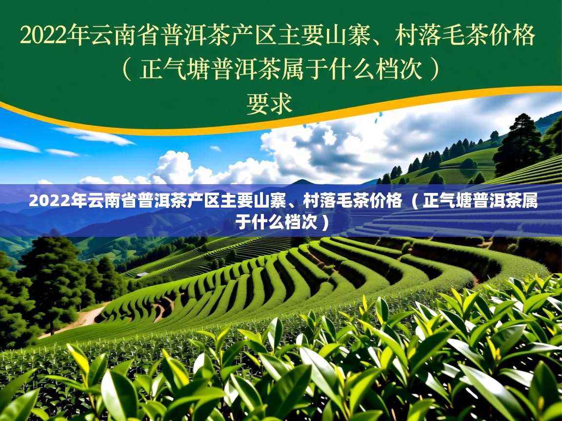  2022年云南省普洱茶产区主要山寨、村落毛茶价格  ( 正气塘普洱茶属于什么档次 )
