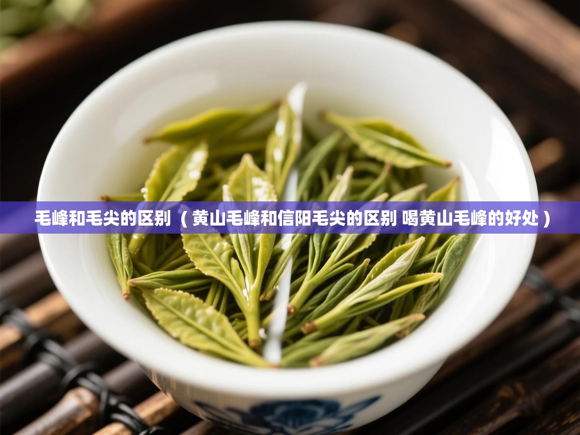  毛峰和毛尖的区别  ( 黄山毛峰和信阳毛尖的区别 喝黄山毛峰的好处 )